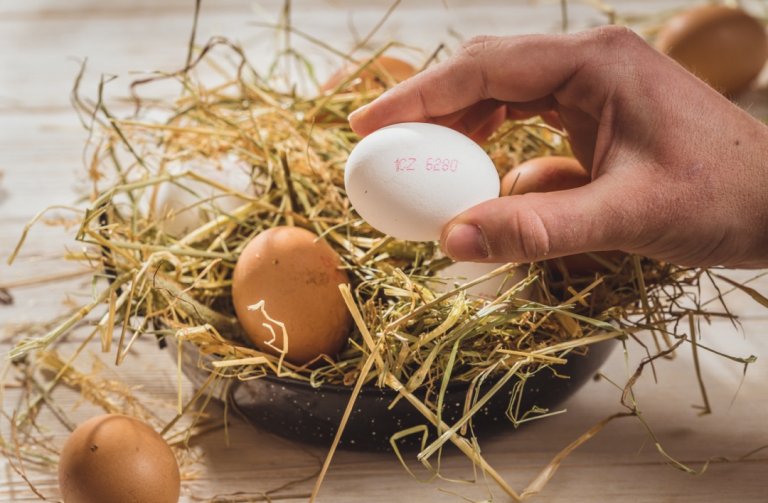 Kód na vejci ukáže nejen zemi původu