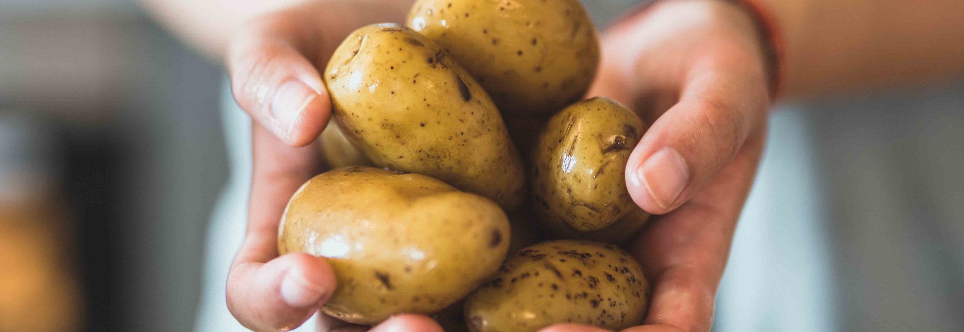 Který typ brambor využijete na salát nebo do bramboráku?