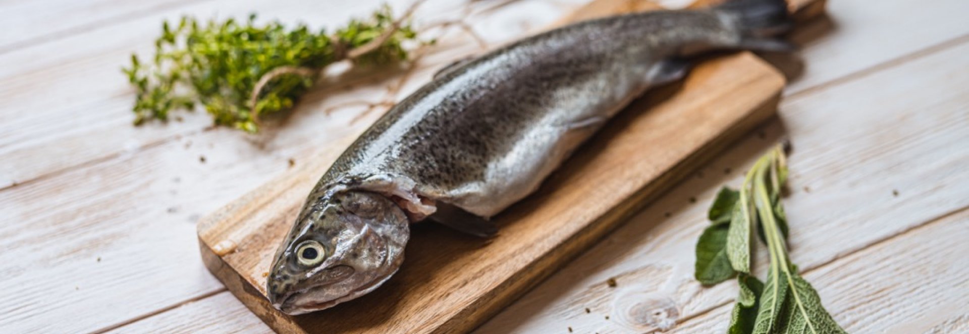 Ryby – lehké a chutné maso prospěšné našemu srdci