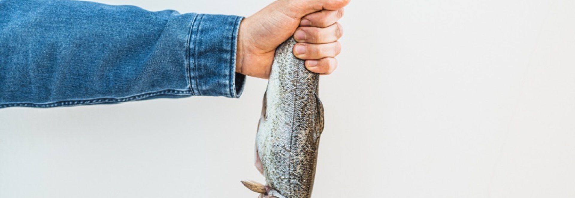 Jak rozpoznat chutnou a čerstvou rybu v obchodě?