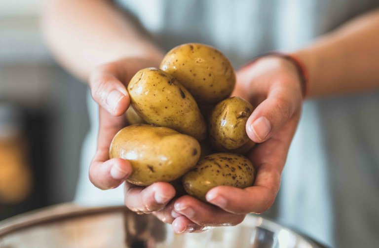 Který typ brambor využijete na salát nebo do bramboráku?