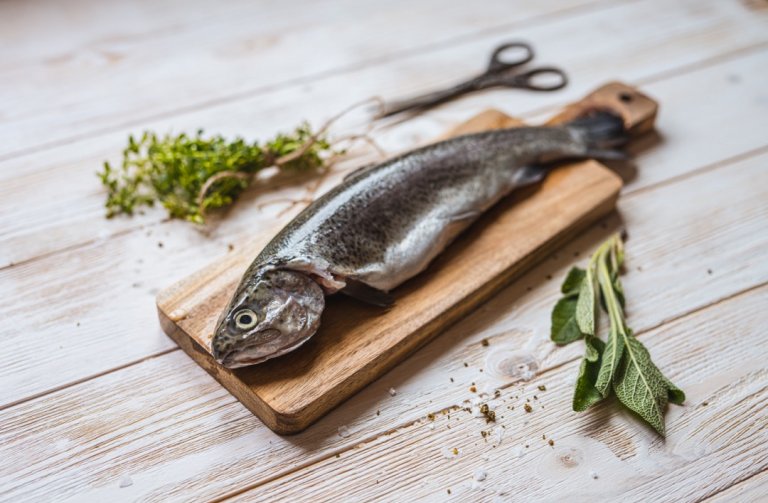 Ryby – lehké a chutné maso prospěšné našemu srdci